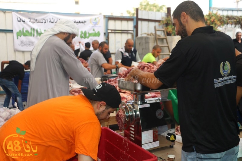 lod8om ada73y (16).JPG